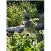 Image 1 : Large Group of Approx. 9 Planters Beds (47.5W x 40.5D x 21H)