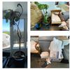 Image 1 : Group of Misc - 2x Plants, Massage Table, Chair, Cushions, Etc.