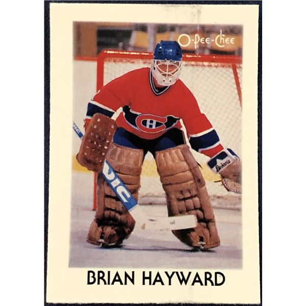 1987-88 O-PEE-CHEE NHL MINI - BRIAN HAYWARD