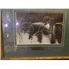 Image 2 : 2 Prints by Robert Bateman, not signed, framed