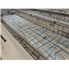 Image 6 : MK Aquarium Aquaculture/Aquaponics Tank Approx. 32.8' L x 7.5' W