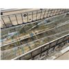 Image 6 : MK Aquarium Aquaculture/Aquaponics Tank Approx. 32.8' L x 7.5' W