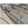 Image 9 : MK Aquarium Aquaculture/Aquaponics Tank Approx. 32.8' L x 7.5' W