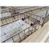 Image 8 : MK Aquarium Aquaculture/Aquaponics Tank Approx. 32.8' L x 7.5' W