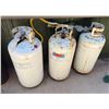 Image 1 : Qty 3 Propane Tanks (not sure how full or how empty)