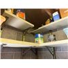Image 5 : Contents of Shelf: Fire Extinguishers, Adhesives, WD-40, Paint, etc (shelf not included)