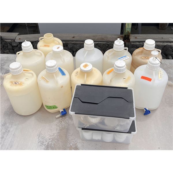 Multiple 20L Carboys w/ Spare Caps