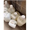 Image 3 : 20L Carboys & Large Jugs