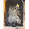 Image 2 : Bin Laboratory Glassware: Beakers, Erlenmeyer Flasks, etc