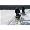 Image 2 : Lapland: Glass Igloos & Arctic Adventures