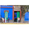 Image 4 : Mexico City: Food, Frida & Xochimilco