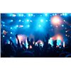 Image 2 : CMA Fest VIP Getaway