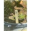 Image 2 : 19-Ligustrum   45 Gal - 19 X $