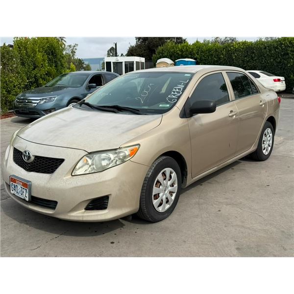 TOYT COROLLA  2009 O/S T-DON