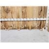 Image 1 : 4 Sets Of Whitetail Antlers On Skull Plate