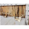 Image 3 : 4 Sets Of Whitetail Antlers On Skull Plate