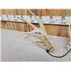 Image 3 : Set Of Main Frame 5x5 Whitetail Shed Antlers