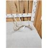 Image 2 : 89 2/8" Wild Whitetail Shed Antler