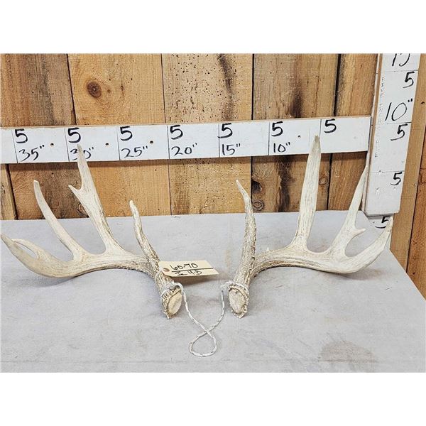 Set Of 4x5 Whitetail Shed Antlers