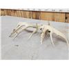 Image 5 : Set Of 5x5 Whitetail Shed Antlers