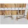 Image 1 : Set Of Main Frame 6x6 Whitetail Shed Antlers