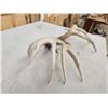 Image 11 : Set Of Main Frame 5x5 Whitetail Shed Antlers