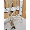 Image 3 : Set Of Main Frame 5x5 Whitetail Shed Antlers
