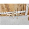 Image 6 : Set Of Main Frame 5x5 Whitetail Shed Antlers