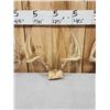 Image 4 : 4 Sets Of Whitetail Antlers On Skull Plate