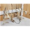 Image 2 : Set Of Main Frame 6x5 Whitetail Shed Antlers