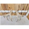 Image 6 : Set Of 4x5 Whitetail Shed Antlers