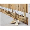 Image 3 : Heavy Mass 3x4 Whitetail Antlers On Skull Plate