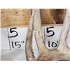 Image 3 : Group Of 3 Wild Wisconsin Whitetail Shed Antlers
