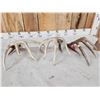 Image 8 : Group Of 3 Wild Wisconsin Whitetail Shed Antlers