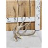 Image 1 : Crazy Main Frame 5 Point Whitetail Shed Antler