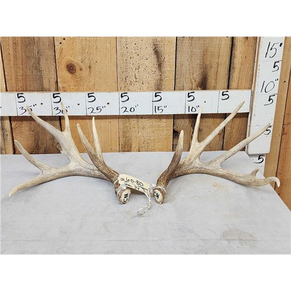 Set Of Main Frame 4x5 Whitetail Shed Antlers
