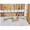 Image 1 : Set Of 5x5 Whitetail Shed Antlers