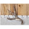 Image 4 : Nice Set Of 5x5 Mule Deer Shed Antlers