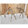 Image 7 : Nice Set Of 5x5 Mule Deer Shed Antlers