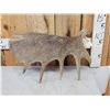 Image 3 : 6.4 Lbs Moose Shed Antler