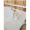 Image 4 : Crazy Clustered Nontypical Whitetail Shed Antler