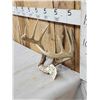 Image 2 : 6x5 Whitetail Antlers On Skull Plate