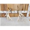 Image 4 : Set Of 205" Whitetail Shed Antlers