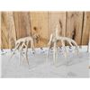 Image 5 : Set Of Big Texas Nontypical Whitetail Shed Antlers