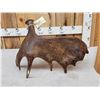 Image 3 : 6 Lbs Self Standing Alaskan Moose Shed Antler
