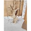 Image 6 : Big Freak Whitetail Shed Antler