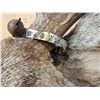 Image 5 : 6x5 Mule Deer Shoulder Mount Taxidermy