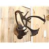 Image 2 : Caribou Antlers On Plaque
