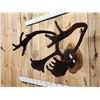 Image 4 : Caribou Antlers On Plaque