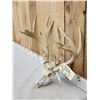 Image 2 : Gnarly 16 Point Nontypical Whitetail Antlers On Skull